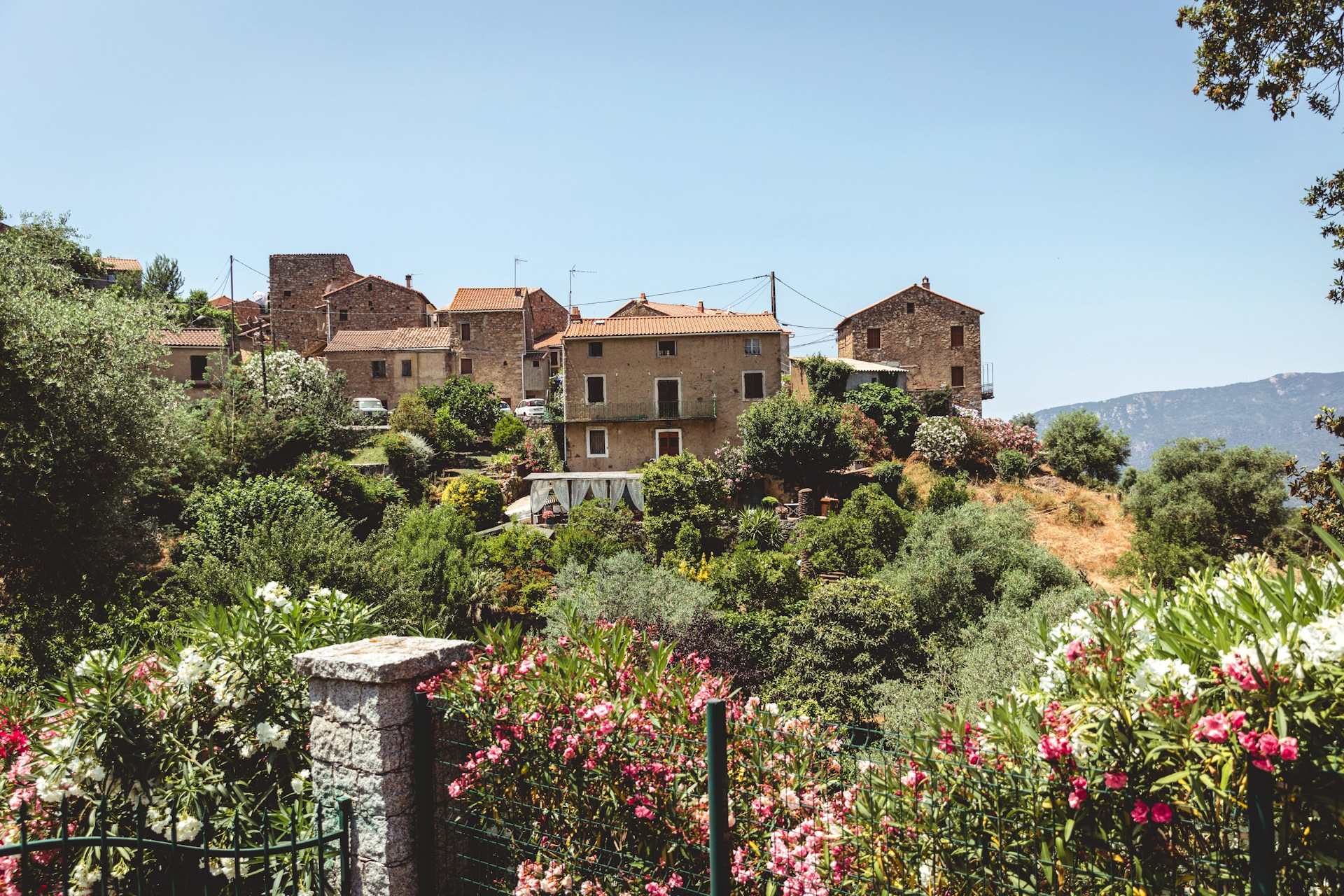 Aero clubs in Corsica